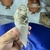 Ponta de Cristal de Quartzo Transparente - Purificação e Beleza - Portal dos Cristais