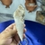 Ponta de Cristal de Quartzo Transparente - Purificação e Beleza - loja online