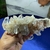 Drusa de Cristal de Quartzo Transparente - Beleza e Harmonia - loja online