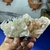 Drusa de Cristal de Quartzo Transparente - Beleza e Harmonia na internet