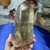 Ponta Rutilada de Cristal Fumê Conhaque - Proteção e Estabilidade
