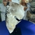 Imagem do Drusa de Cristal Elestial Fumê Escuro - Conexão e Equilíbrio