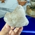Imagem do Drusa Bruta e Natural de Cristal de Quartzo Fumê Claro Transparente