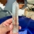 Ponta Bruta e Natural De Cristal de Quartzo Hexagonal Fumê Claro Transparente - loja online
