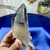 Ponta Extra Bruta e Natural de Cristal de Quartzo Lemuriano Transparente na internet