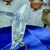 Forma Livre Lapidada e Polida de Cristal de Quartzo Extra Transparente na internet