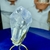 Imagem do Forma Livre Lapidada e Polida de Cristal Transparente