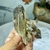 Biterminado Natural e Bruto de Cristal Fumê - Segurança e Harmonia - Portal dos Cristais