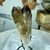 Imagem do Mini Drusa Natural e Bruta de Cristal Lemuriano Fumê Transparente