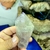 Ponta de Cristal Ametista Transparente - Elevação Espiritual e Cura - Portal dos Cristais