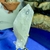 Mini Drusa de Cristal de Quartzo Transparente - Foco e Proteção - loja online