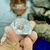 Estrela de Davi de Cristal Transparente - Harmonia e Proteção - Portal dos Cristais