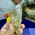 Forma Livre Natural Lapidada e Polida de Cristal Citrino - Atraia Abundância - comprar online