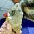 Forma Livre Natural Lapidada e Polida de Cristal Citrino - Atraia Abundância