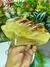 Imagem do Escultura Natural Extra Polida de Cristal Hematoide Amarelo, Vermelho e Transparente – Energia e Proteção