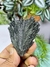 Cianita Black Natural e Bruta - Proteção Energética e Equilíbrio