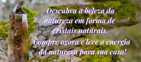 Carrossel 1