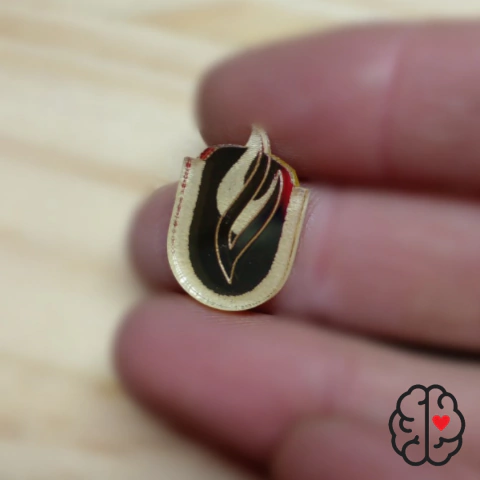 10 APLIQUES ACRILICO - PERSONALIZADO