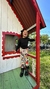 Legging Minnie na internet