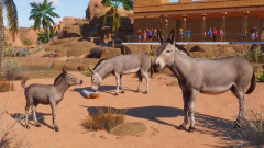 Planet zoo complete edition /PC Steam en internet