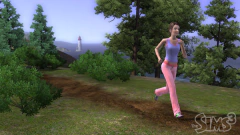 The sims 3 complete collection all dlc /Steam PC en internet