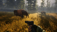 BIGFOOT® Steam - comprar online