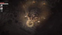 Darkwood ® Steam en internet