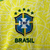 Jersey Brasil Local Copa America 2024 (2024/2025) en internet