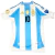 Jersey MatchWorn Argentina Local Final Copa América Messi 10 Version Jugador -Envío Rápido 2 días