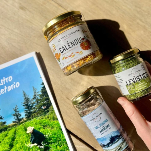 Promo Caléndula, Sal y Levístico + recetario - comprar online