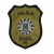 BRASAO POLICIA CIVIL BORDADO