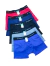 Cueca - Cueca Boxer Masculina Adulto Com elástico FIGHT na internet