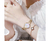 Imagen de Reloj Citizen Analogico para Mujer - Modelo Eco Drive - EM053382Y
