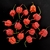 Carolina Reaper Red Frutos In natura 1 Kilo - Viciado em Pimentas