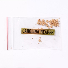 8 Sementes verdadeiras Carolina Reaper vermelha - A mais forte do mundo - comprar online