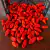 Bhut Jolokia Red Frutos In Natura 1 kilo - comprar online