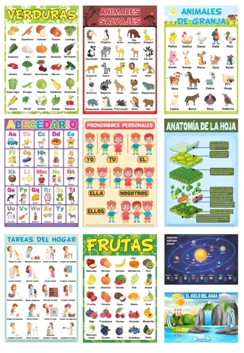 Combo 3 Posters educativos