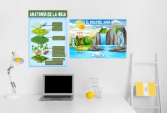 Poster "El Ciclo del agua" 2 en internet