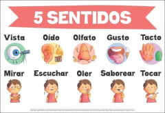 Poster 5 sentidos