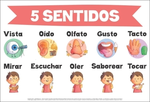 Poster 5 sentidos