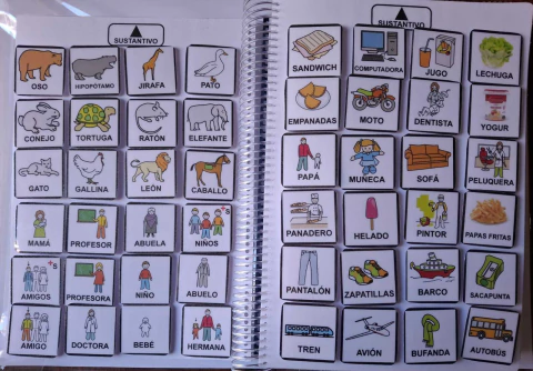 PICTORACIONAL: 310 PICTOGRAMAS PLÁSTICOS PARA ARMAR ORACIONES (OPCIONAL ENCUADERNADO Y CON ABROJO)