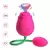 Vibrador Flower 2 em 1 na internet
