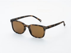 LINZE LZ4 – SUNGLASSES MATTE TORTOISE BROWN LENS - comprar online