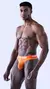 TANGA WAISBAND ORANGE - comprar online