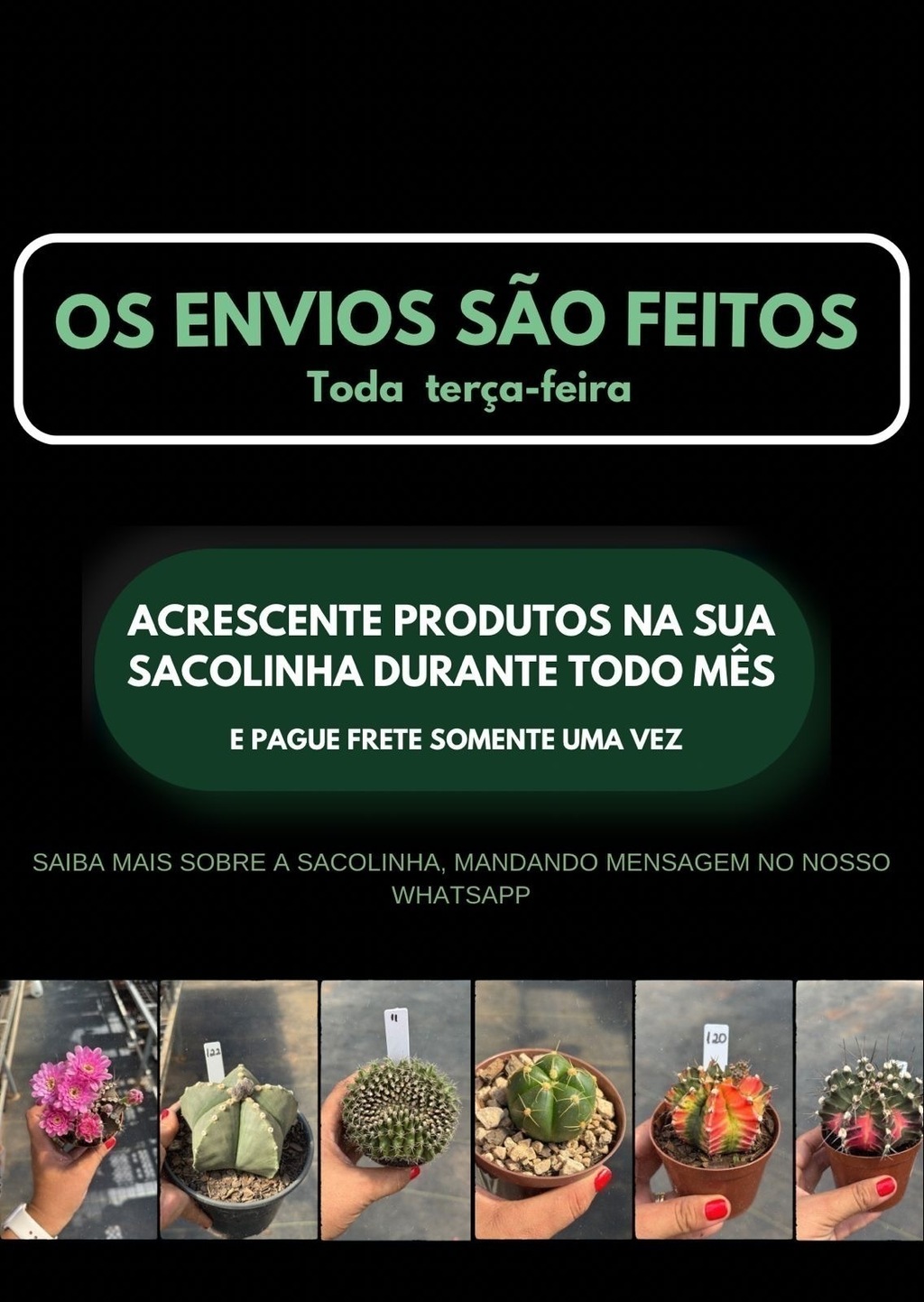 Imagem do banner rotativo 1