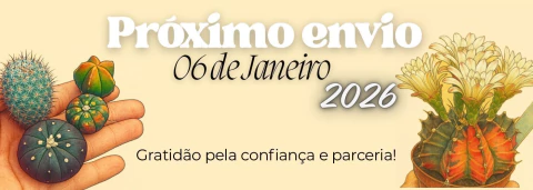 Imagem do banner rotativo 1