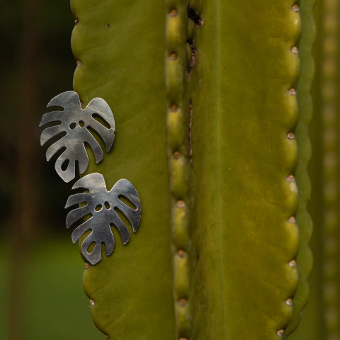 Brinco Costela de Adão
