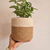 Canasto Petit 17x15 - Jofina Deco