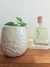 Maceta Pehuin Beige - comprar online
