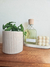Maceta Lolo Beige - comprar online